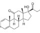 BOLDEPRIME